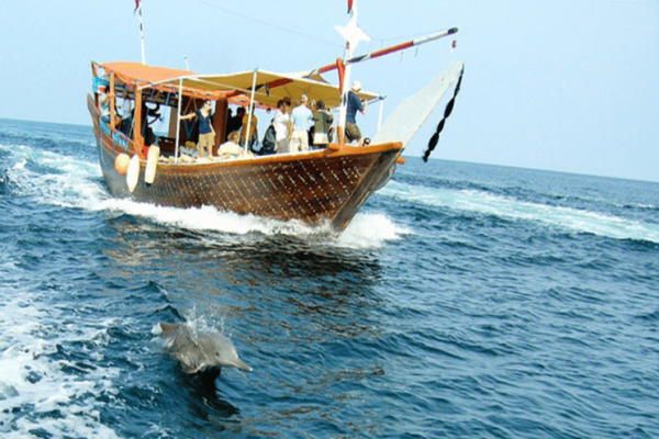 Dolphin-Tour-Wasini-Kisite-Mpunguti