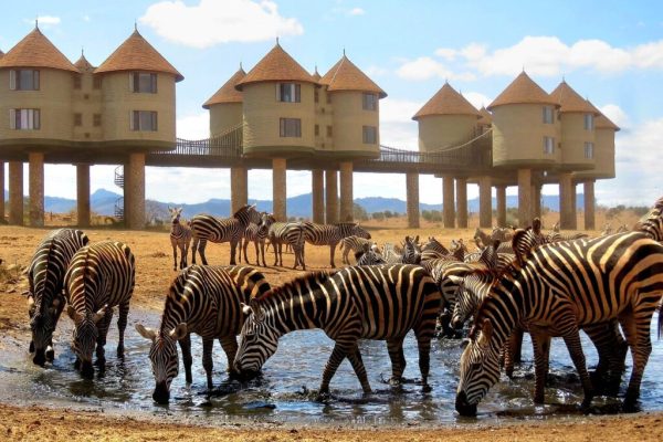 TSAVO-EAST-TAITA-SALTLICK-LODGE-1024x768