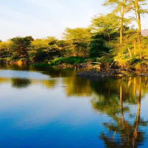 mzima-springs-tsavo-west-kenya