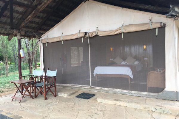 safari-tent-kenya-tours-wildlife