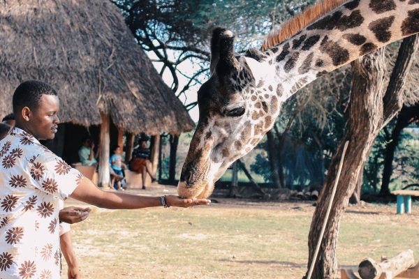 tailor-made-safari-kenya