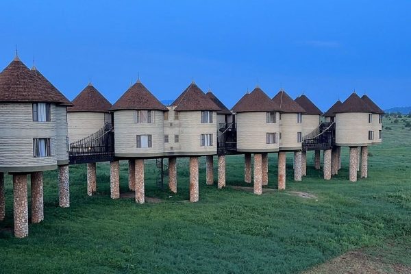 taita-saltlick-kenya-accommodation